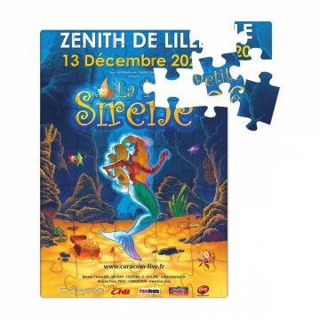 Puzzle magnetique 20 5x29 2cm