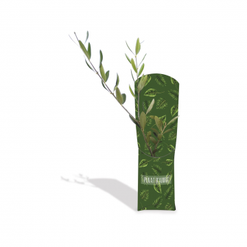 L'Etui Arbre