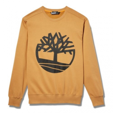 Sweatshirt core tree col rond