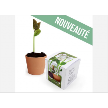 Kit de plantation graine...