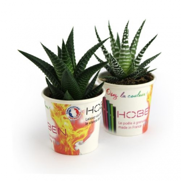 Petit pot carton plante