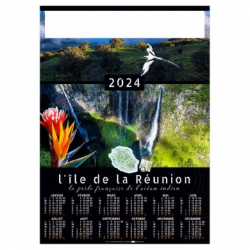 POSTER ÎLE DE LA RÉUNION 2024