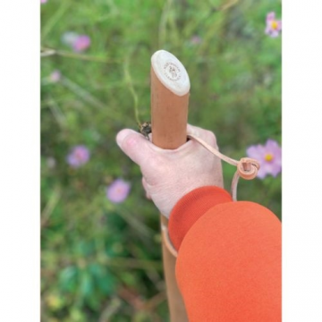 CleanWalk Walkingstick...